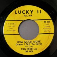 2 Terry Knight and The Pack How Much More b:w I’ve Been Told on Lucky 11 2.jpg