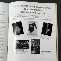 Diamond Dogs Tour Program 9.jpg