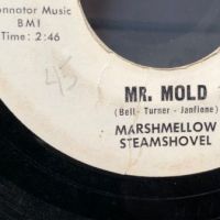 Marshmallow Steamshovel Mr. Mold on Head Records 3.jpg