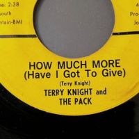 2 Terry Knight and The Pack How Much More b:w I’ve Been Told on Lucky 11 3.jpg