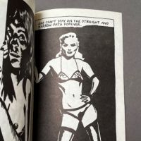 Lana By Raymond Pettibon Numbered 320 Stapled Book 1984 SST 8.jpg