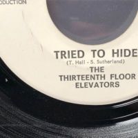 The 13th Floor Elevators You’re Gonna Miss Me on Contact Records 9.jpg