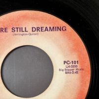 The Basic Things Ninety Nine and A Half b:w You’re Still Dreaming on Purple Can Records 8.jpg