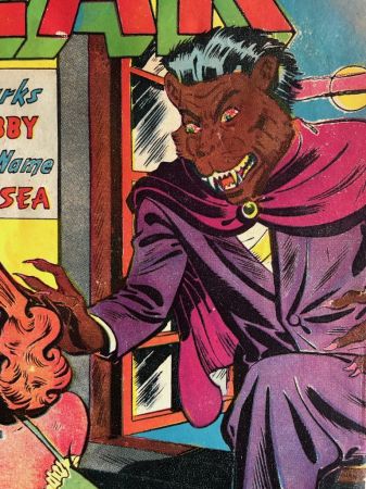 Journey Into Fear No. 7 May 1952 Published by Superior Comic 6.jpg