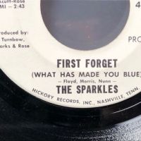 Texas Garage Single The Sparkles No Friend of Mine b:w First Forget on Hickory 8.jpg