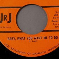 The Vultures Baby What You Want Me To Do b:w Good Lovin’ on JRJ Productions 4.jpg