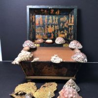 1840s Shell Collection in Victorian Decoupage Sarcophagus Box 12.jpg