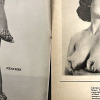 Cavalcade of Burlesque March 1954 Magazine 3.jpg