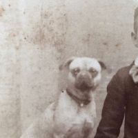 Schutte Baltimore Photographer Cabinet Card Young Boy with His Dog on Table 9.jpg