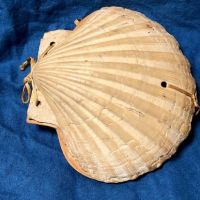 Victorian Era Scallop Shell Book with Pressed Flowers 1.jpg